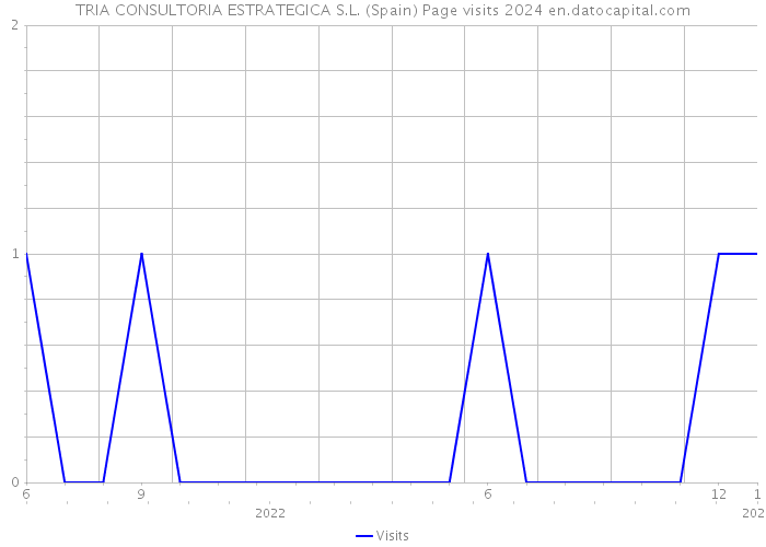 TRIA CONSULTORIA ESTRATEGICA S.L. (Spain) Page visits 2024 