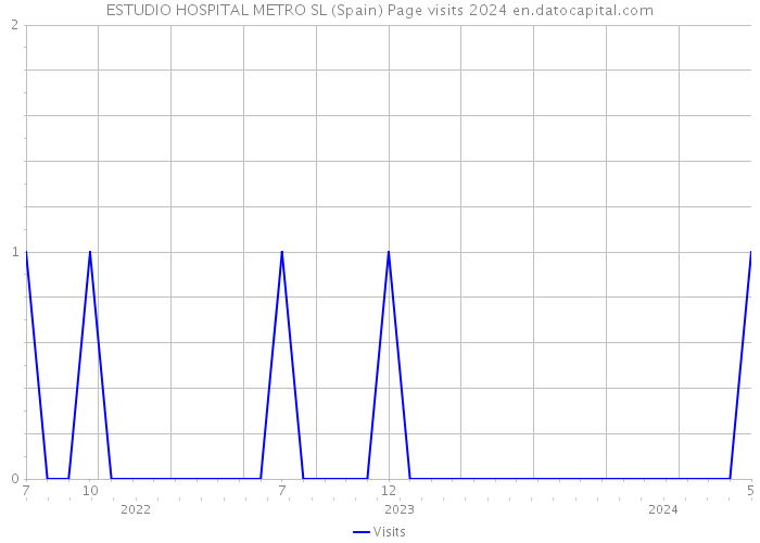 ESTUDIO HOSPITAL METRO SL (Spain) Page visits 2024 