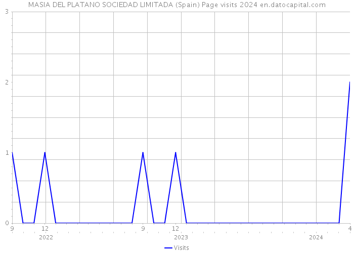 MASIA DEL PLATANO SOCIEDAD LIMITADA (Spain) Page visits 2024 