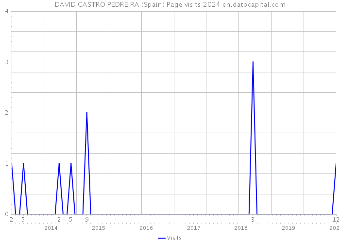 DAVID CASTRO PEDREIRA (Spain) Page visits 2024 