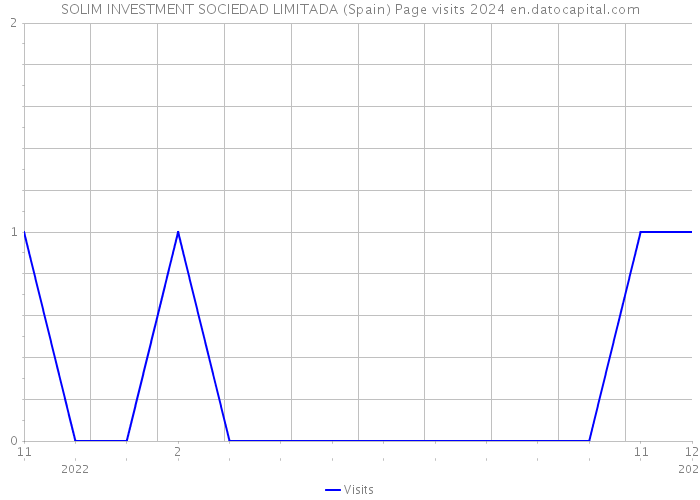 SOLIM INVESTMENT SOCIEDAD LIMITADA (Spain) Page visits 2024 