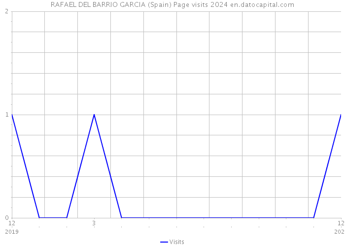 RAFAEL DEL BARRIO GARCIA (Spain) Page visits 2024 