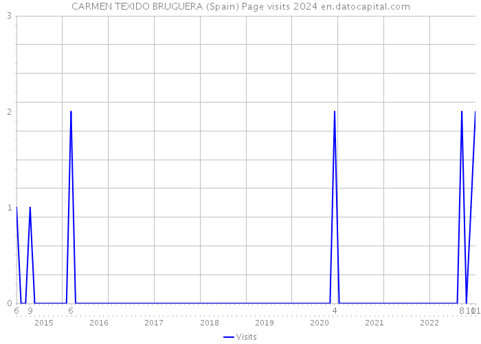 CARMEN TEXIDO BRUGUERA (Spain) Page visits 2024 