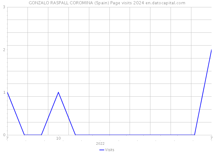 GONZALO RASPALL COROMINA (Spain) Page visits 2024 