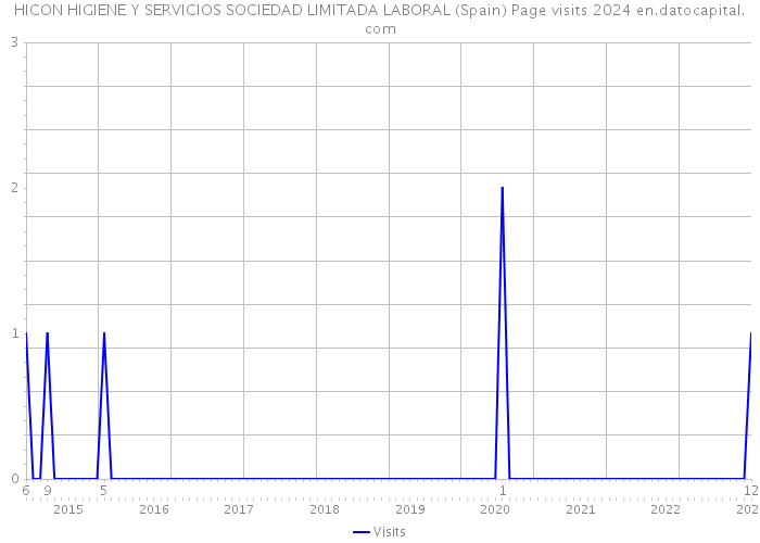 HICON HIGIENE Y SERVICIOS SOCIEDAD LIMITADA LABORAL (Spain) Page visits 2024 