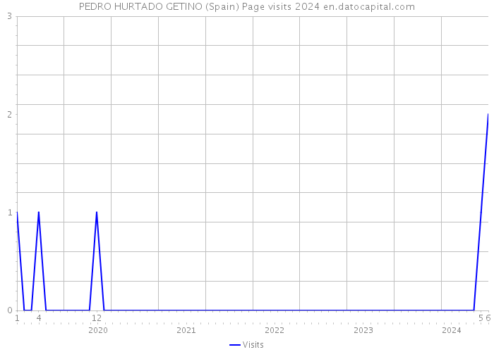 PEDRO HURTADO GETINO (Spain) Page visits 2024 