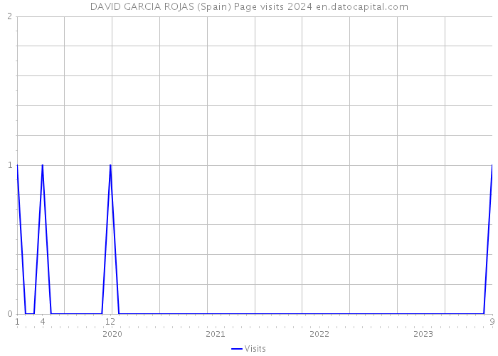 DAVID GARCIA ROJAS (Spain) Page visits 2024 