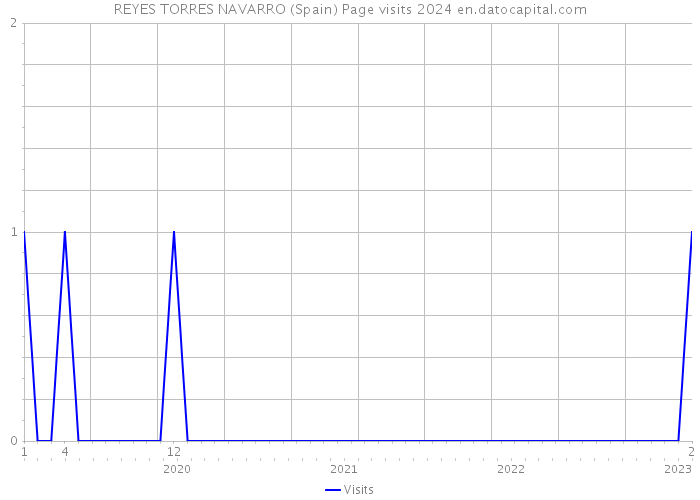REYES TORRES NAVARRO (Spain) Page visits 2024 
