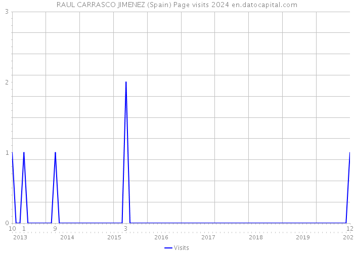 RAUL CARRASCO JIMENEZ (Spain) Page visits 2024 