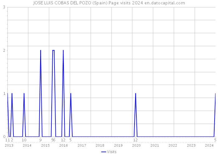 JOSE LUIS COBAS DEL POZO (Spain) Page visits 2024 