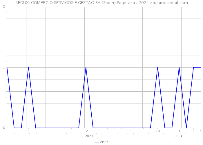 REDUX-COMERCIO SERVICOS E GESTAO SA (Spain) Page visits 2024 