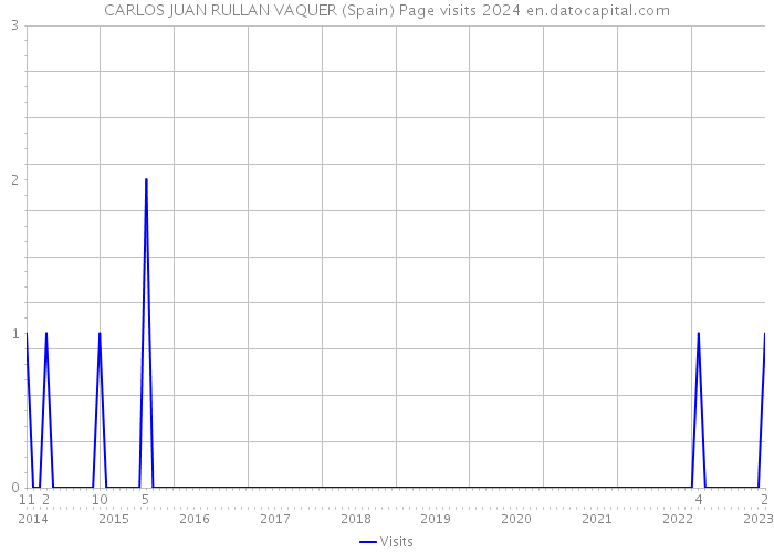 CARLOS JUAN RULLAN VAQUER (Spain) Page visits 2024 