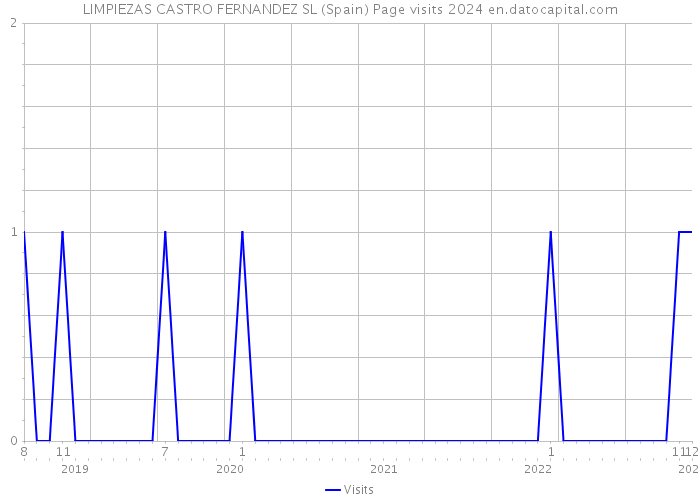 LIMPIEZAS CASTRO FERNANDEZ SL (Spain) Page visits 2024 