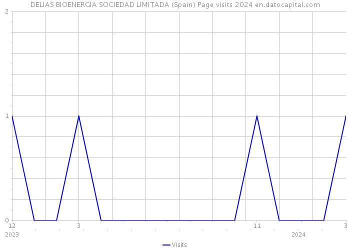 DELIAS BIOENERGIA SOCIEDAD LIMITADA (Spain) Page visits 2024 