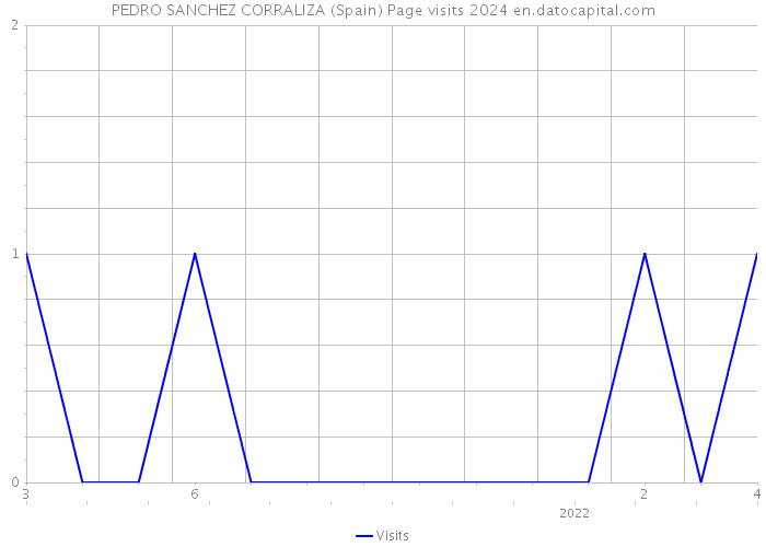 PEDRO SANCHEZ CORRALIZA (Spain) Page visits 2024 