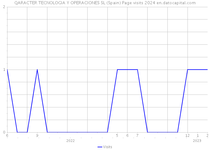 QARACTER TECNOLOGIA Y OPERACIONES SL (Spain) Page visits 2024 
