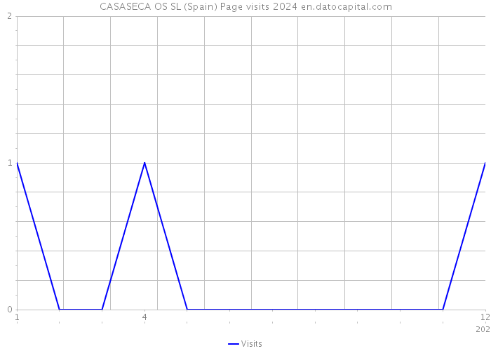CASASECA OS SL (Spain) Page visits 2024 