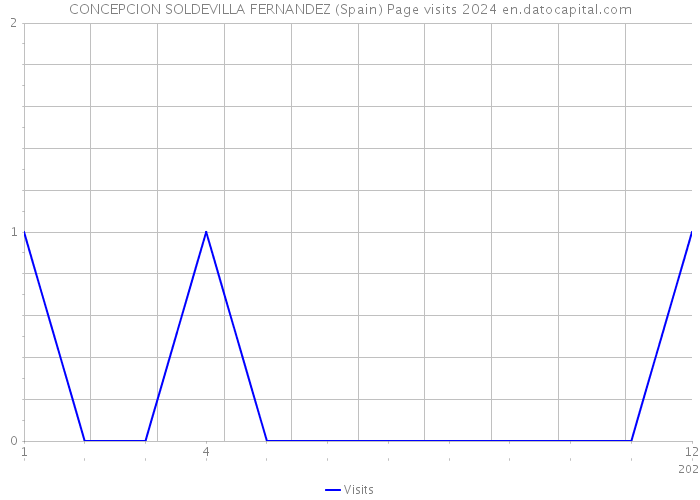 CONCEPCION SOLDEVILLA FERNANDEZ (Spain) Page visits 2024 