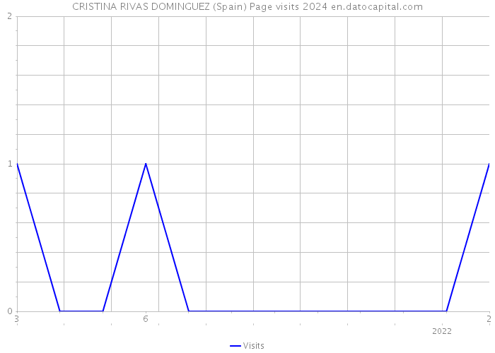 CRISTINA RIVAS DOMINGUEZ (Spain) Page visits 2024 