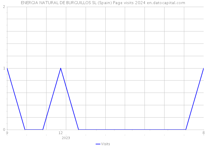 ENERGIA NATURAL DE BURGUILLOS SL (Spain) Page visits 2024 
