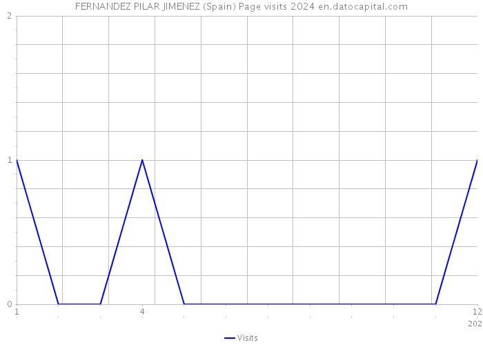 FERNANDEZ PILAR JIMENEZ (Spain) Page visits 2024 