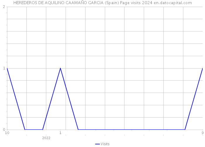 HEREDEROS DE AQUILINO CAAMAÑO GARCIA (Spain) Page visits 2024 