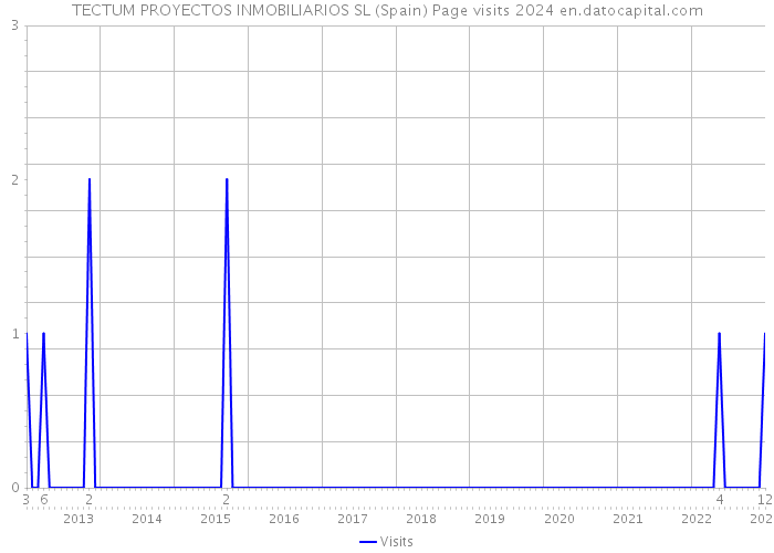 TECTUM PROYECTOS INMOBILIARIOS SL (Spain) Page visits 2024 