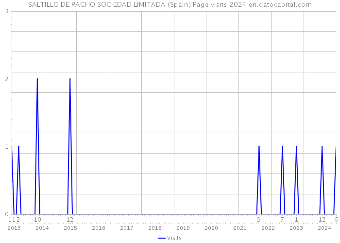 SALTILLO DE PACHO SOCIEDAD LIMITADA (Spain) Page visits 2024 