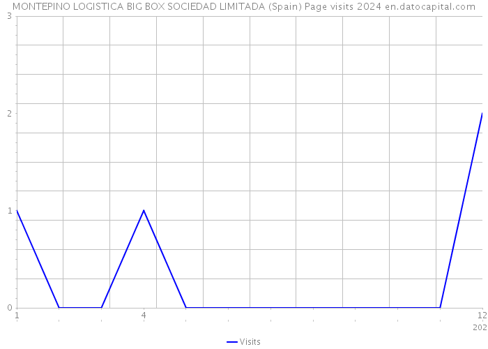 MONTEPINO LOGISTICA BIG BOX SOCIEDAD LIMITADA (Spain) Page visits 2024 
