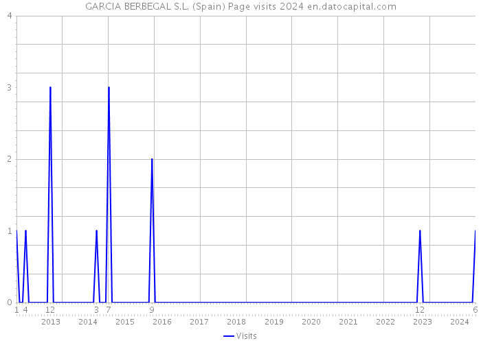GARCIA BERBEGAL S.L. (Spain) Page visits 2024 