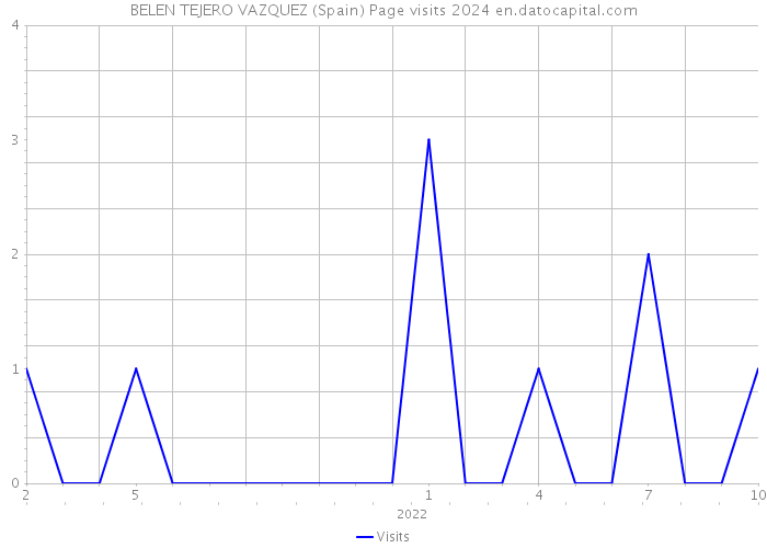 BELEN TEJERO VAZQUEZ (Spain) Page visits 2024 