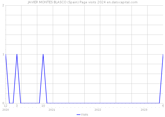 JAVIER MONTES BLASCO (Spain) Page visits 2024 