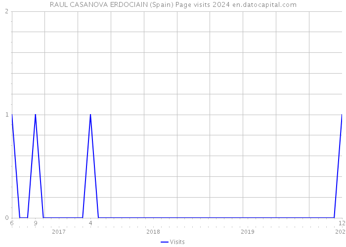 RAUL CASANOVA ERDOCIAIN (Spain) Page visits 2024 