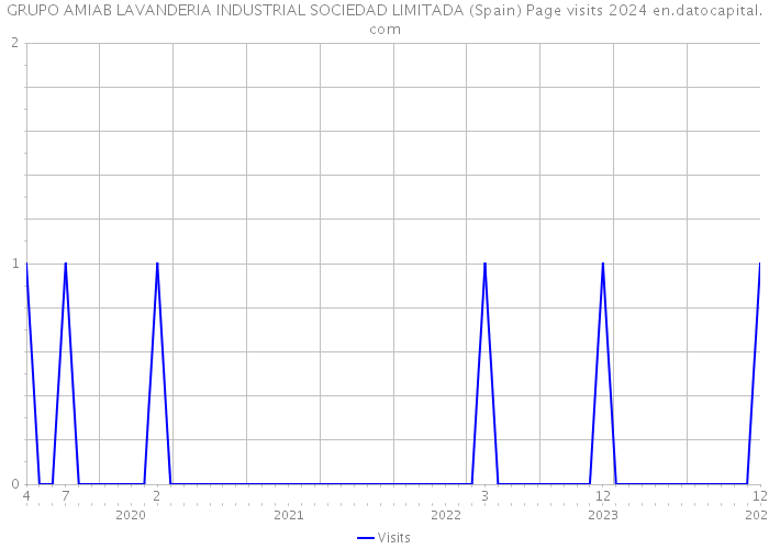 GRUPO AMIAB LAVANDERIA INDUSTRIAL SOCIEDAD LIMITADA (Spain) Page visits 2024 