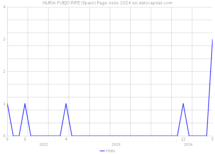 NURIA FUEJO RIFE (Spain) Page visits 2024 