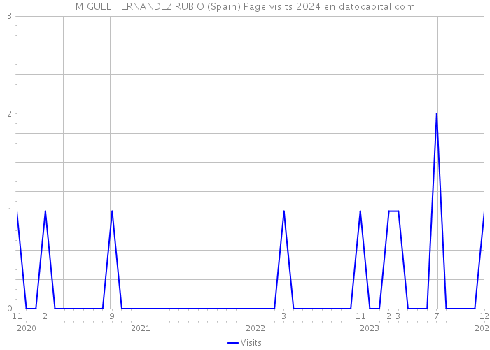 MIGUEL HERNANDEZ RUBIO (Spain) Page visits 2024 