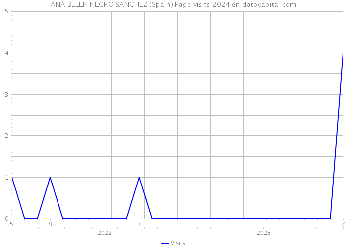 ANA BELEN NEGRO SANCHEZ (Spain) Page visits 2024 