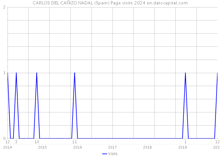 CARLOS DEL CAÑIZO NADAL (Spain) Page visits 2024 