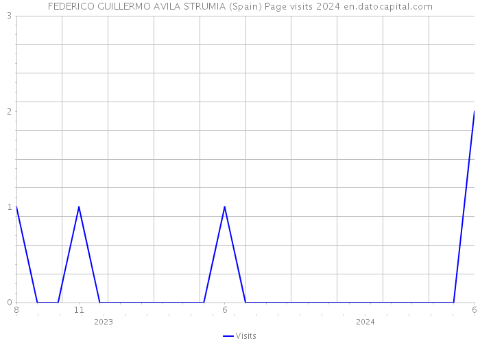 FEDERICO GUILLERMO AVILA STRUMIA (Spain) Page visits 2024 