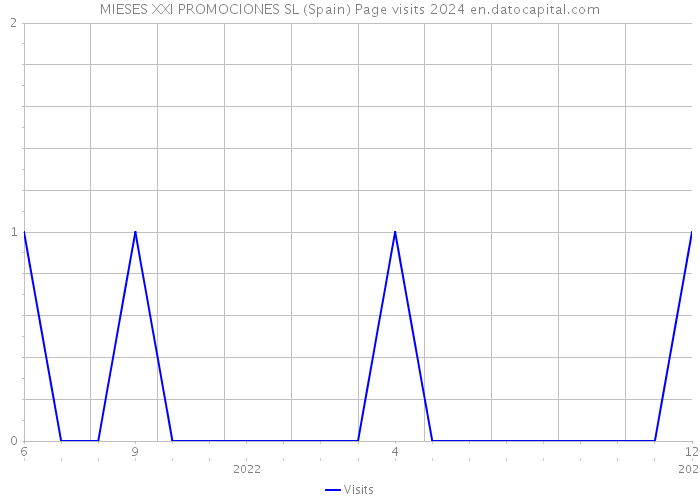 MIESES XXI PROMOCIONES SL (Spain) Page visits 2024 