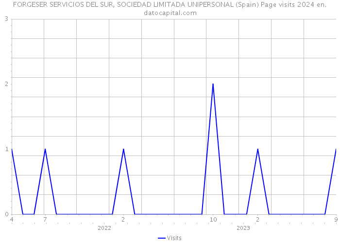 FORGESER SERVICIOS DEL SUR, SOCIEDAD LIMITADA UNIPERSONAL (Spain) Page visits 2024 