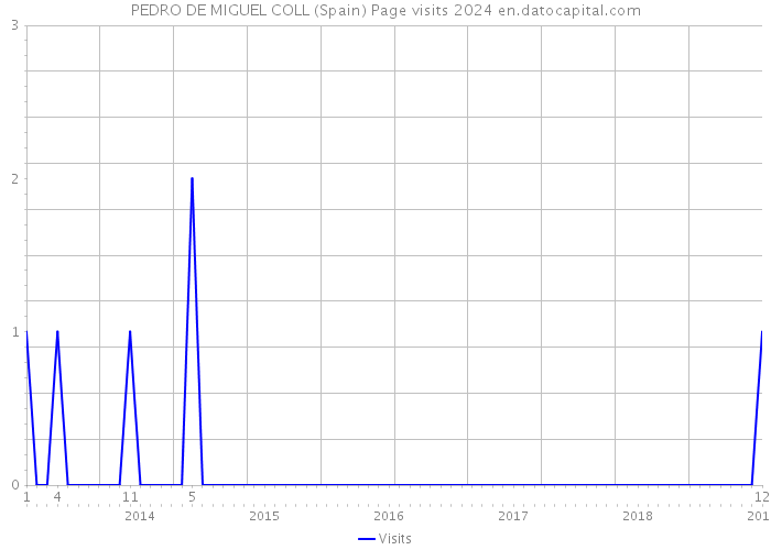 PEDRO DE MIGUEL COLL (Spain) Page visits 2024 