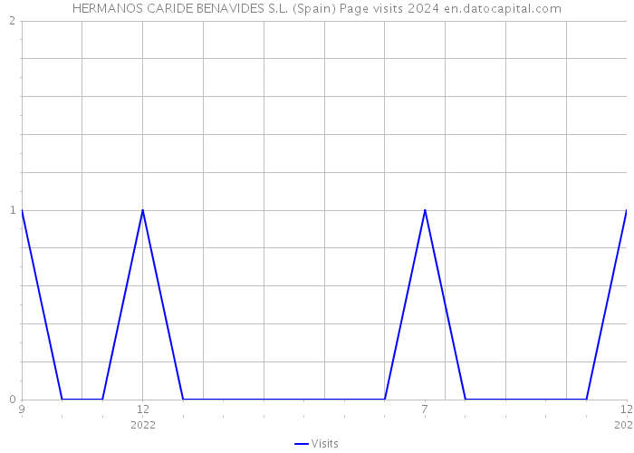 HERMANOS CARIDE BENAVIDES S.L. (Spain) Page visits 2024 