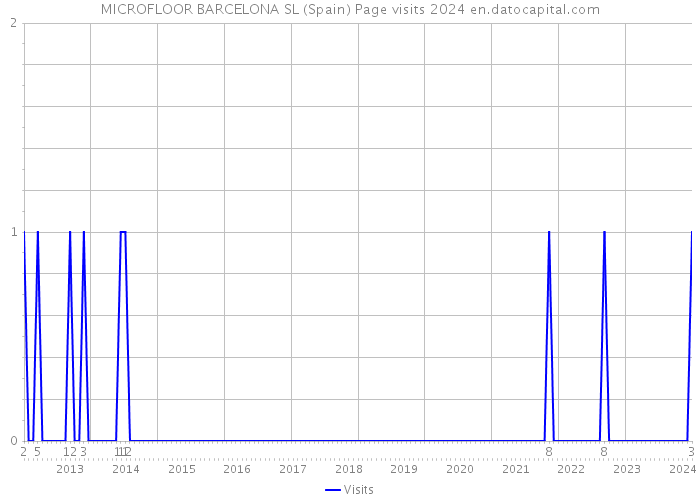 MICROFLOOR BARCELONA SL (Spain) Page visits 2024 