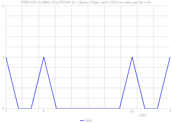 STEKNOS GLOBAL SOLUTIONS S.L. (Spain) Page visits 2024 