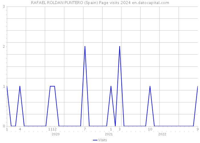 RAFAEL ROLDAN PUNTERO (Spain) Page visits 2024 