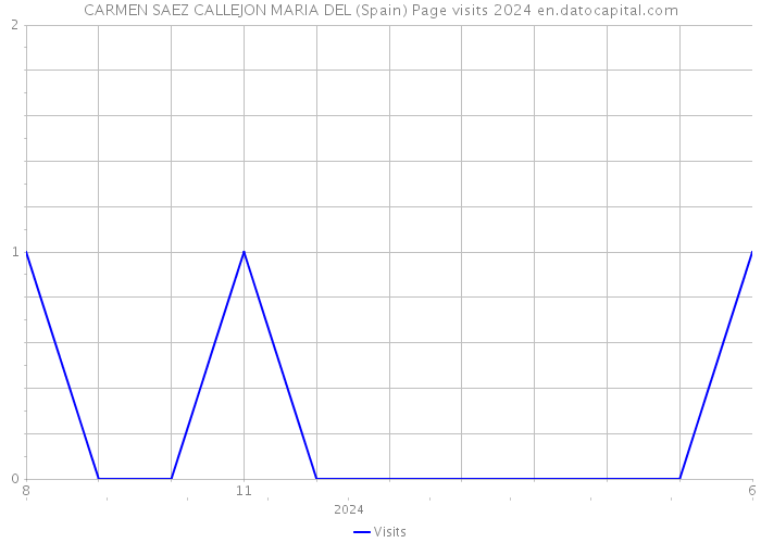 CARMEN SAEZ CALLEJON MARIA DEL (Spain) Page visits 2024 