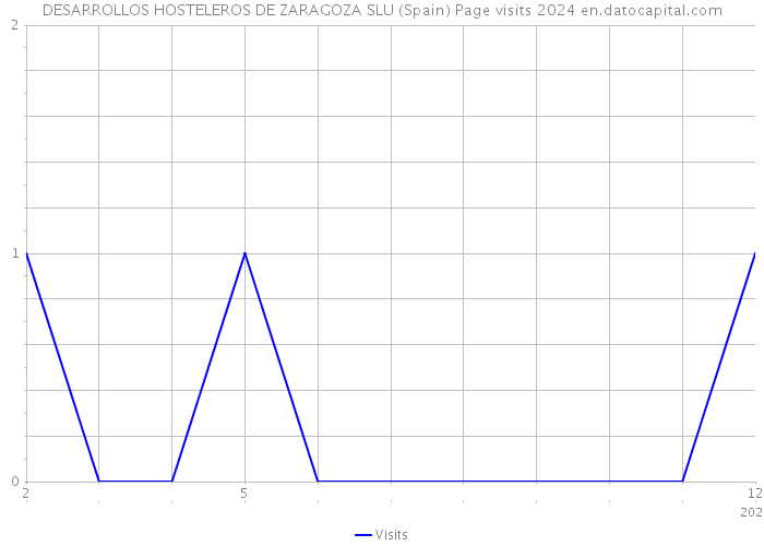 DESARROLLOS HOSTELEROS DE ZARAGOZA SLU (Spain) Page visits 2024 