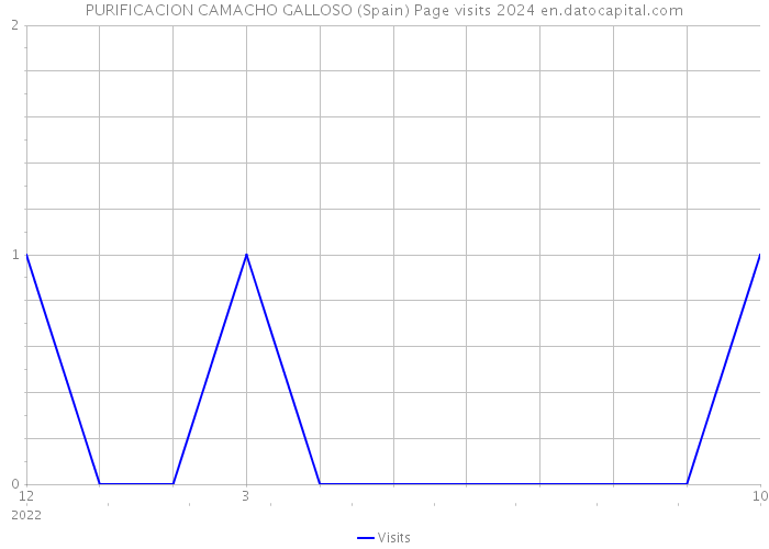 PURIFICACION CAMACHO GALLOSO (Spain) Page visits 2024 