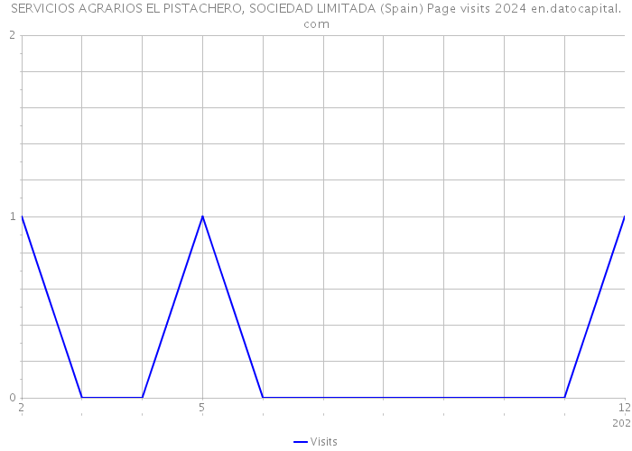 SERVICIOS AGRARIOS EL PISTACHERO, SOCIEDAD LIMITADA (Spain) Page visits 2024 